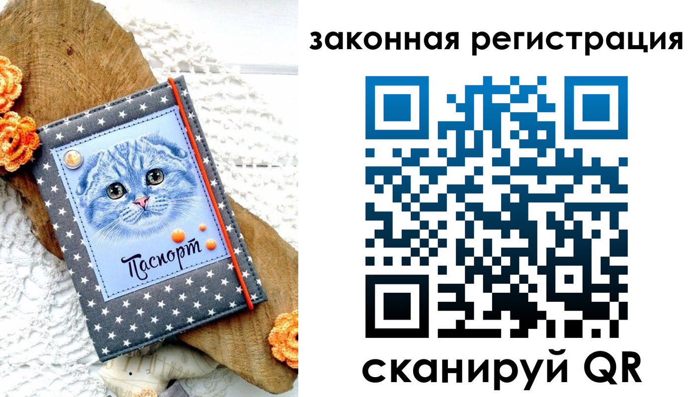 регистрация в Белгородской области